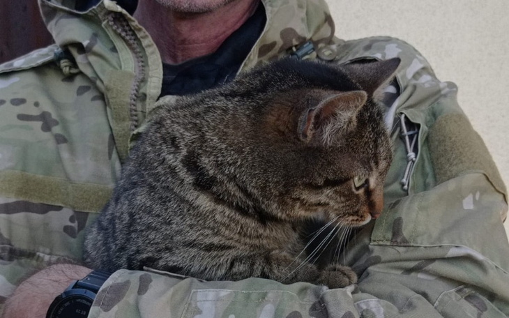 Zbiórka Pomóc dla batalionu Browary - zdjęcie główne