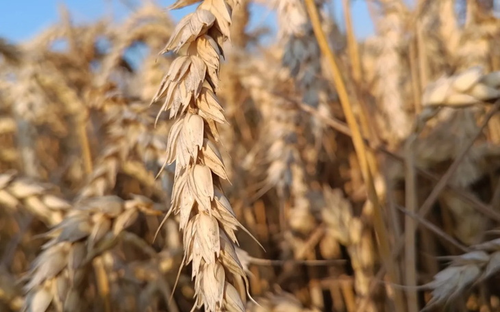 Zbiórka Na skradzione marzenia aparat fo - zdjęcie główne