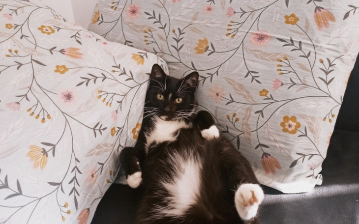 Zbiórka By zatrzymać przyjaciela - zdjęcie główne