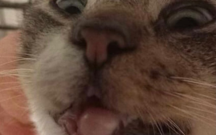 Zbiórka Druga szansa Franka - zdjęcie główne