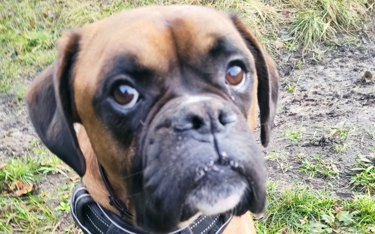 Zbiórka Diagnostyka i leczenie Barrego - zdjęcie główne