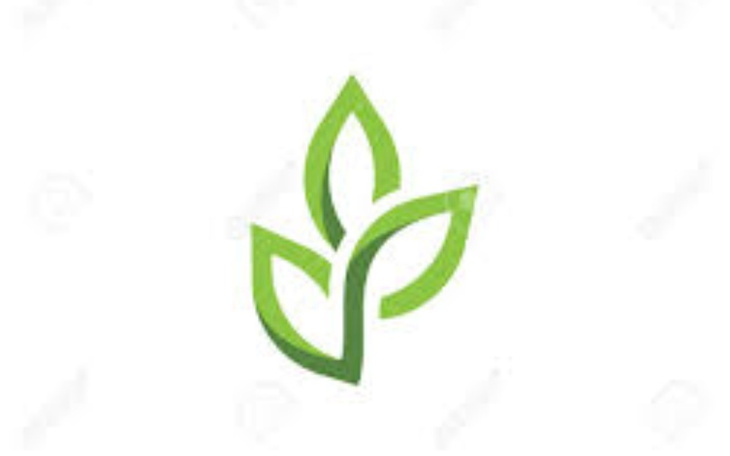 Zbiórka Ośrodek Naturystyczny - zdjęcie główne