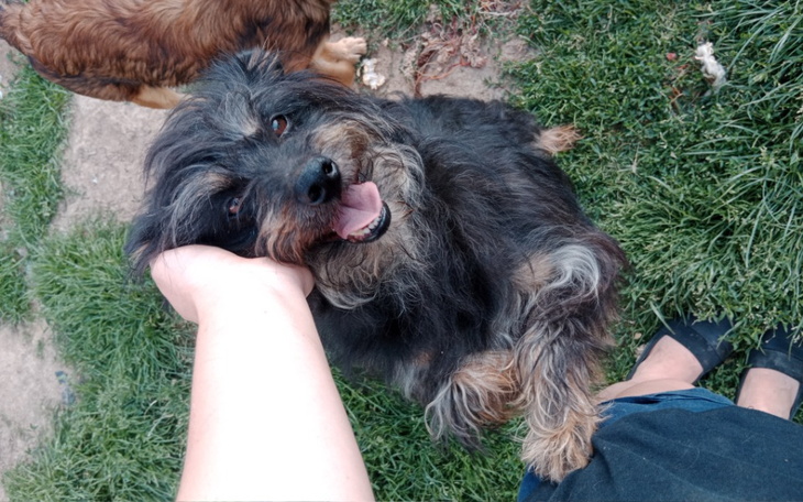 Zbiórka Diadog dla Kacikowych bid - zdjęcie główne