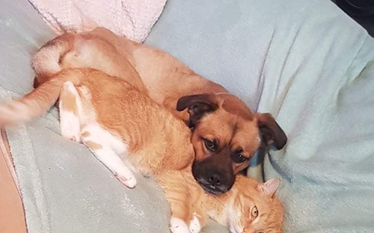 Zbiórka Na kupno mieszkani - zdjęcie główne