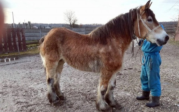 Zbiórka Pomóż Biance odzyskać radość... - zdjęcie główne