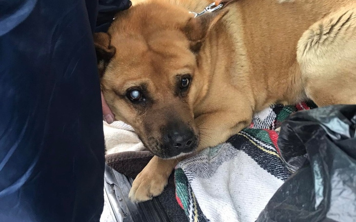 Zbiórka Dla_Igora - zdjęcie główne