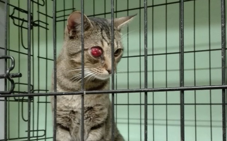 Zbiórka Oczko C07 - zdjęcie główne