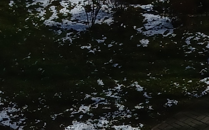 Widok na trawnik z resztkami śniegu, w słoneczny dzień.