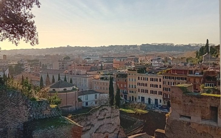 Widok na miasto z wysokiego punktu, w tle zabudowa i drzewa.
