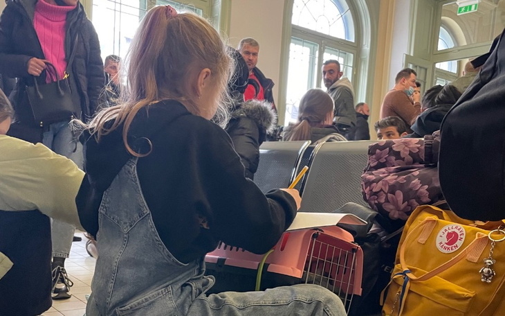 Zbiórka Na pomoc dla uchodźców z Ukrainy - zdjęcie główne