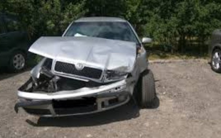 Zbiórka Schronisko dla bezdomnych zwierz - zdjęcie główne