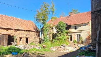 Zbiórka Azyl dla zwierząt z ruiny - miniaturka zdjęcia