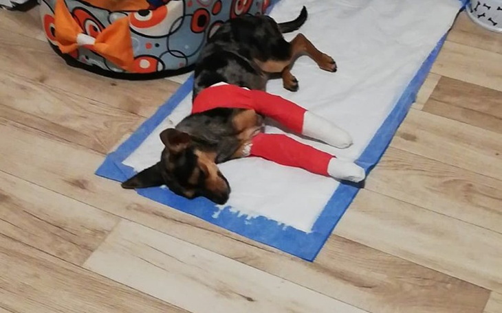 Zbiórka Zbiórka na operację Miluni - zdjęcie główne