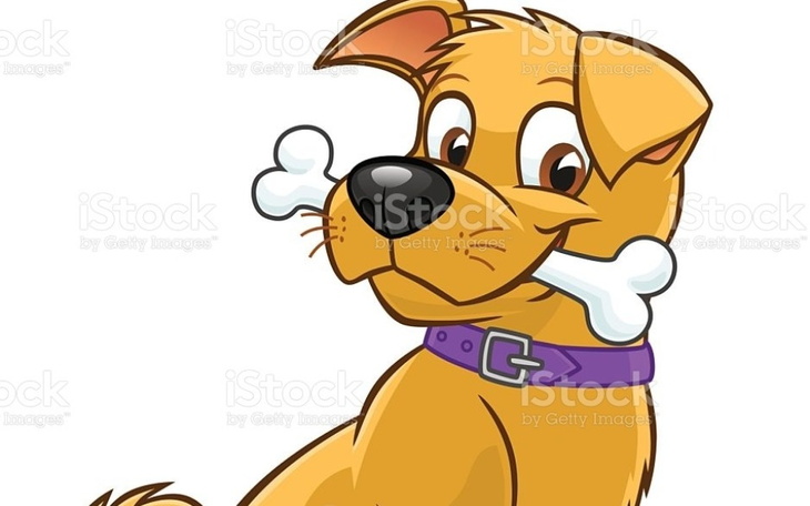 Zbiórka na lepsze życie w schronisku - zdjęcie główne