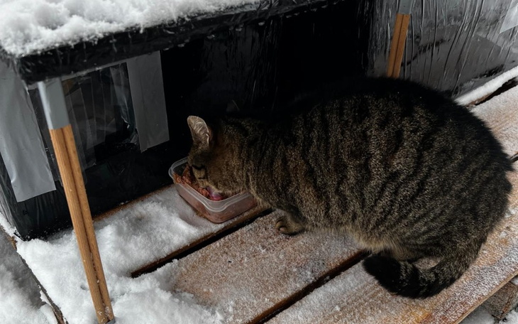 Zbiórka Faktura za badania Buni i Plamki - zdjęcie główne