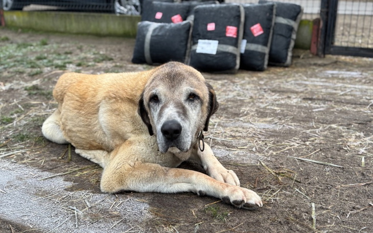 Zbiórka Karabasz - operacja - zdjęcie główne