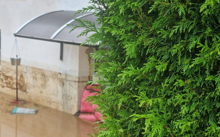 Zbiórka Zbiórka na ratunek domu - zdjęcie główne