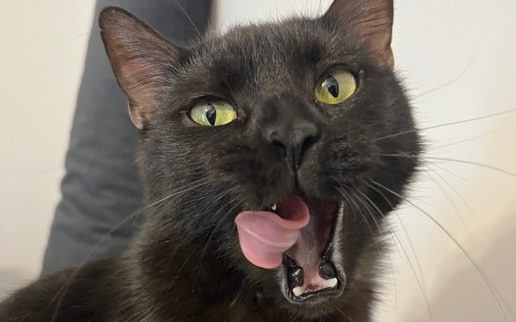 Zbiórka Lucek - zdjęcie główne