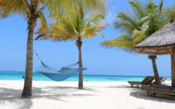 Zbiórka Zanzibar marzenie - zdjęcie główne