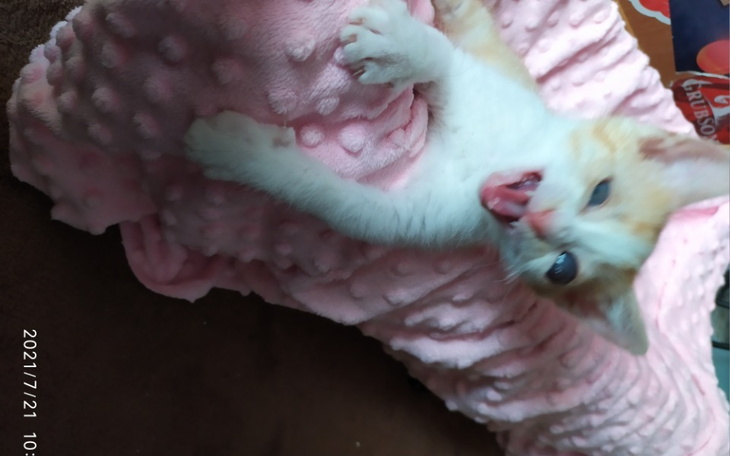 Zbiórka By imbirek widział - zdjęcie główne