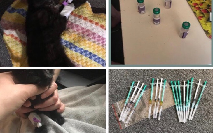 Zbiórka Abyśmy mogli dalej działać - zdjęcie główne