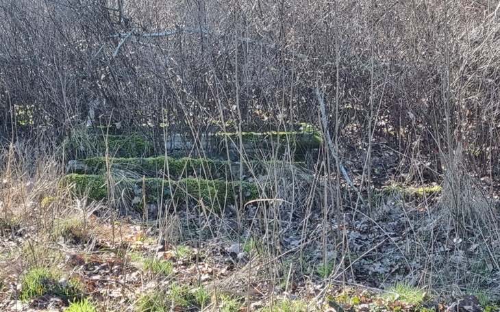 Zbiórka ZSP nr 5 w Bydgoszczy Ukrainie - zdjęcie główne