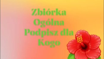 Zbiórka Zbiórka ogólna 5 - miniaturka zdjęcia