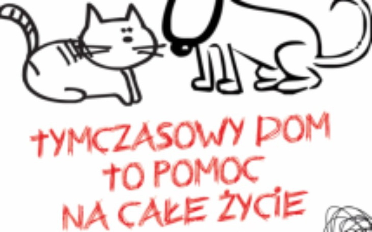 Zbiórka Zbiórka dla domów tymczasowych - zdjęcie główne