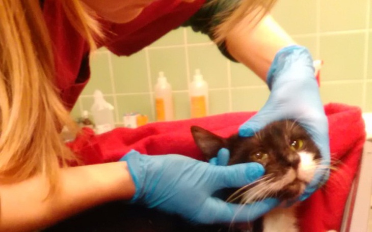 Zbiórka Ratujmy Kajtka. - zdjęcie główne