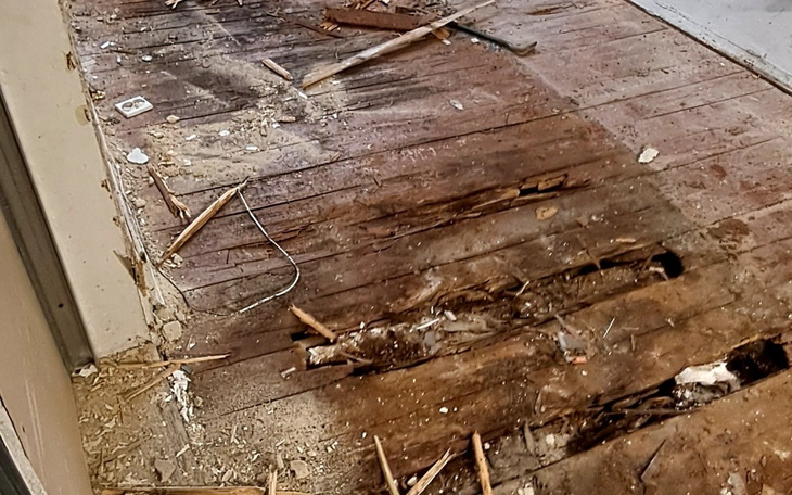 Zbiórka Mieszkanie nowe - zdjęcie główne