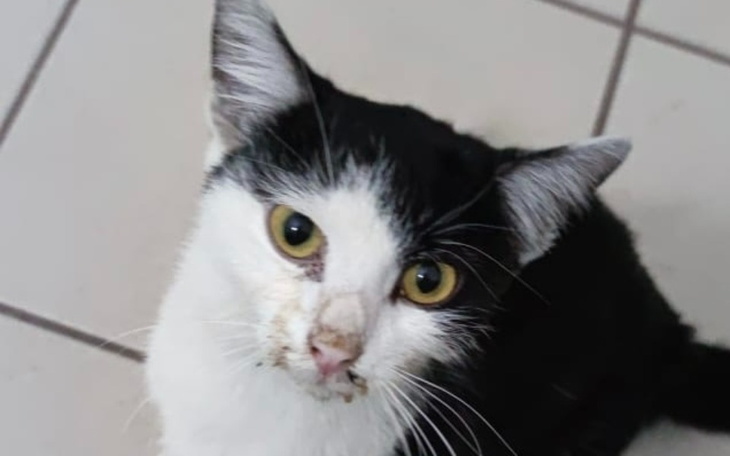 Zbiórka Na przetrwanie czerwca 2024 - zdjęcie główne