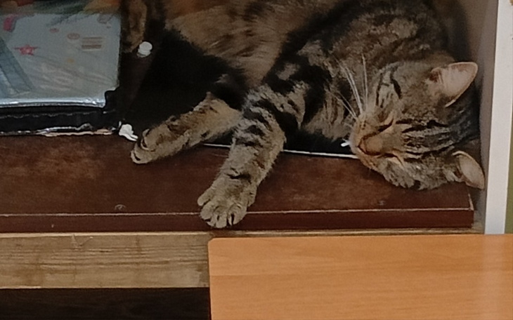 Zbiórka Na remont pomoc - zdjęcie główne