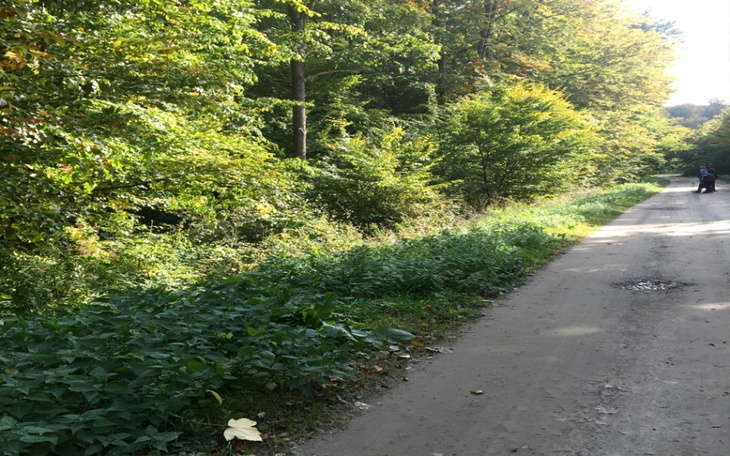 Zbiórka Na wyjazd do Włochów xd - zdjęcie główne