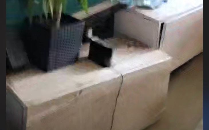 Zbiórka Remont po powodzi w Bialej - zdjęcie główne