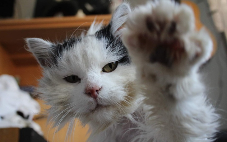 Zbiórka Lekarstwo dla Lucjanka - zdjęcie główne