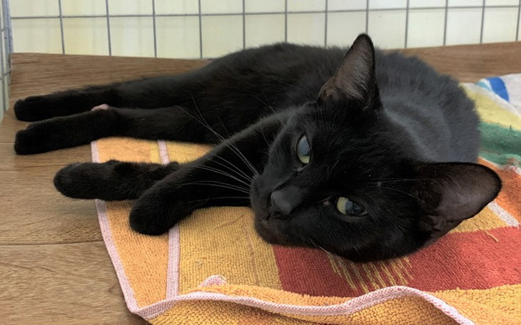 Zbiórka Tegan - zdjęcie główne