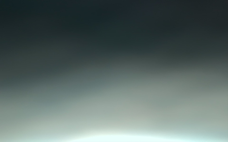 Zbiórka Na leki dla ciężko chorego psa - zdjęcie główne