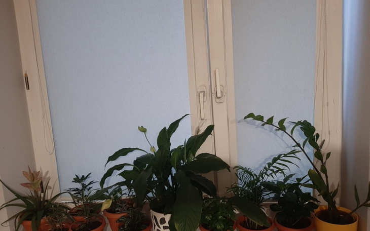 Zbiórka Wymarzony kąt do życia - zdjęcie główne