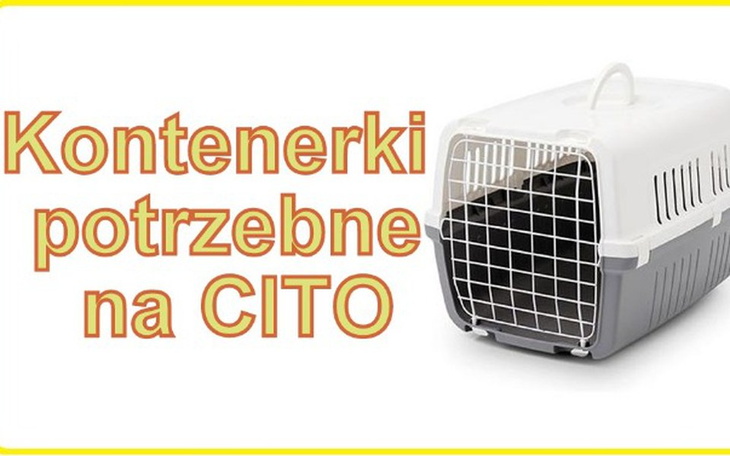 Zbiórka na zakup kontenerków dla kotków - zdjęcie główne