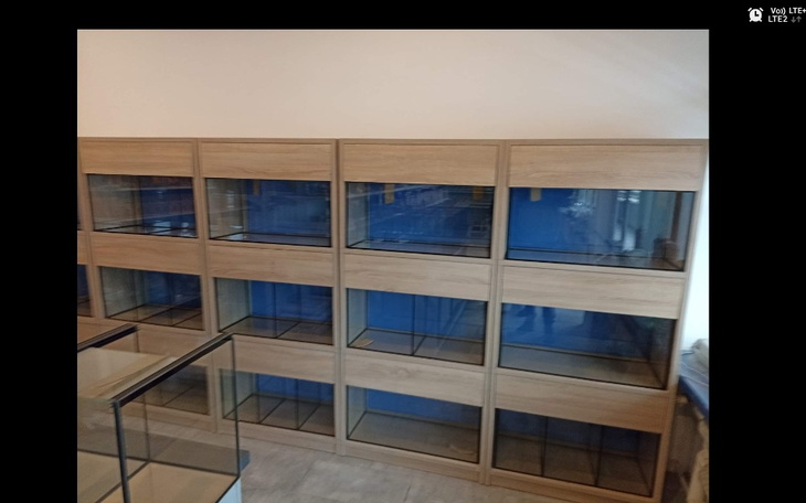 Zbiórka Założenie salonu akwarystycznego - zdjęcie główne