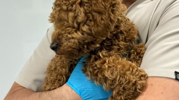 Zbiórka zniszczona Antosia - miniaturka zdjęcia