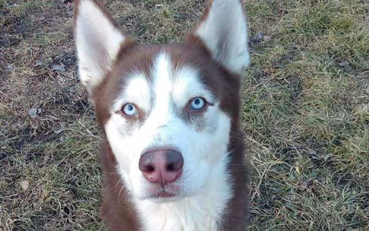 Zbiórka Piorun - CHOROBA & ŻYCIE I DOM - zdjęcie główne