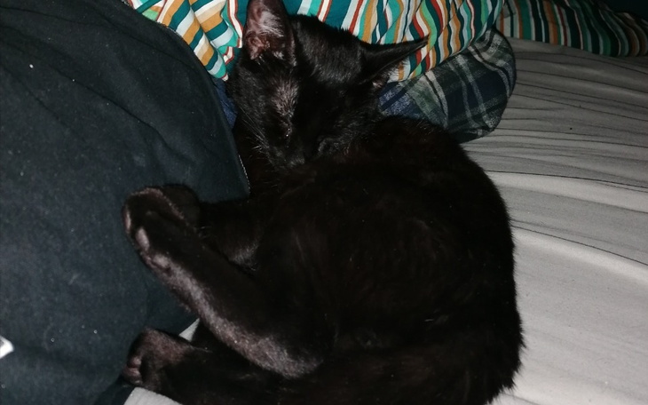 Zbiórka Szkoła artystyczna - zdjęcie główne