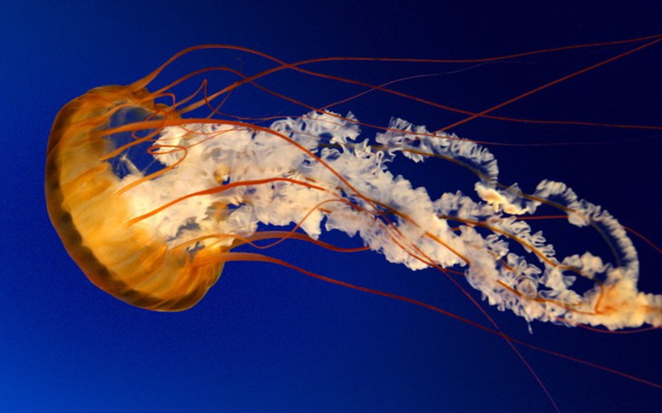 Zbiórka pomoc doraźna - zdjęcie główne