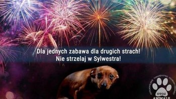 Zbiórka Nie strzelaj w powietrze :) - miniaturka zdjęcia