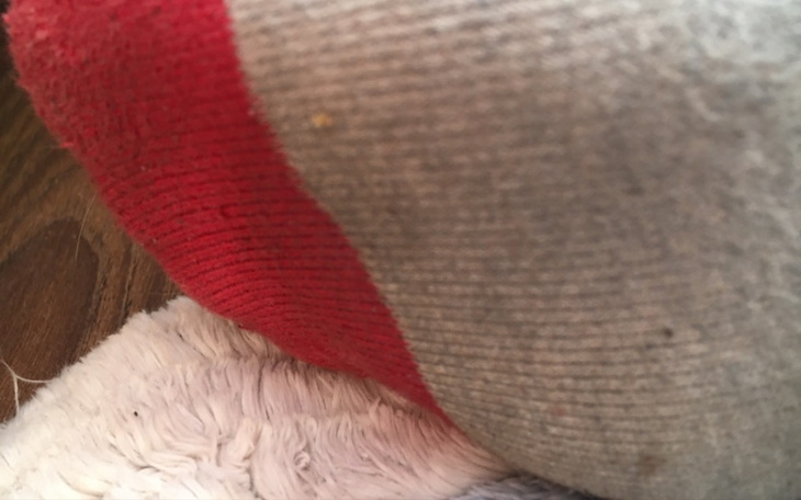 Zbiórka Na naprawę telefonu i mózgu - zdjęcie główne