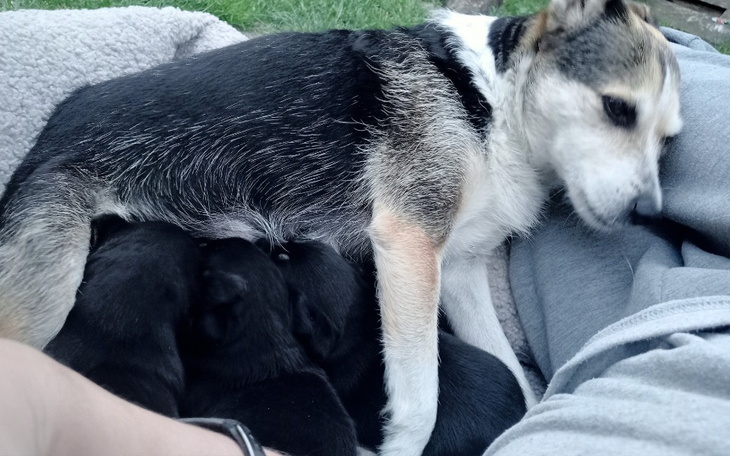 Zbiórka Pomoc w spalcie długów - zdjęcie główne