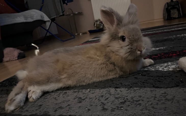 Zbiórka Leczenie Kardamonka - zdjęcie główne