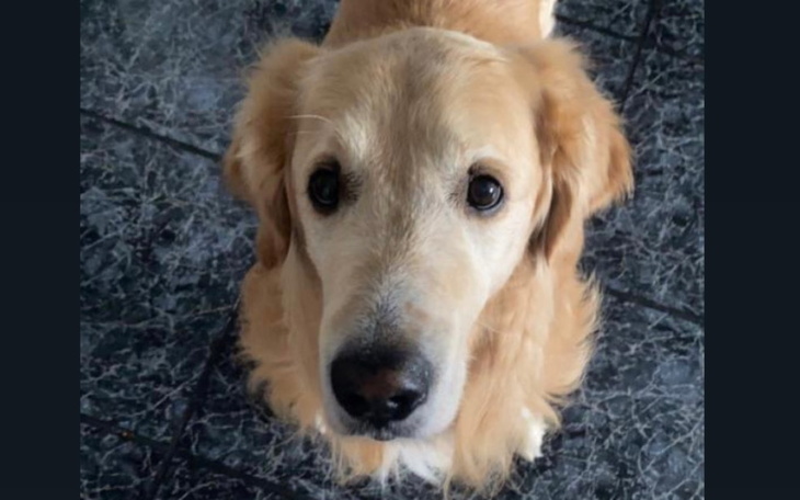 Zbiórka rak kości - amputacja kończyny - zdjęcie główne