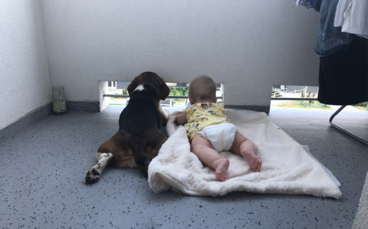 Zbiórka Tomografia dla psa Frani - zdjęcie główne